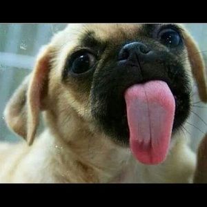 Meet your Posher, Scott